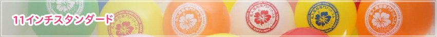 11インチスタンダード