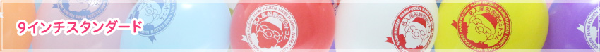9インチスタンダード