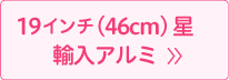 46cm星輸入アルミ