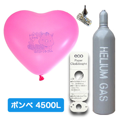 9インチ4500Lエコキット