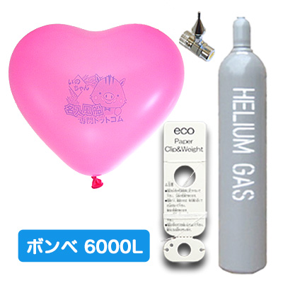 9インチ6000Lエコキット