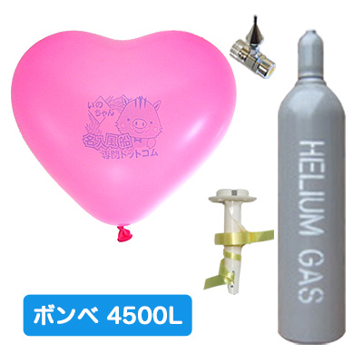 9インチ4500Lエコキット